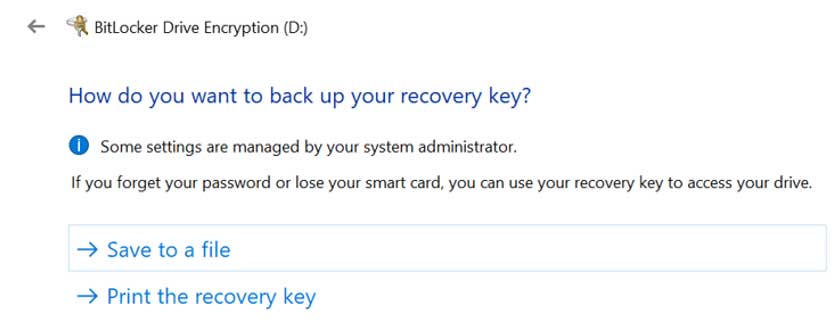 A Windows Operating System Prompt asking the user if they would like to back up their recovery key by saving it to a file or printing the key.